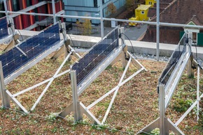 Senkrechte Solaranlage und kühlendes Gründach ergänzen sich ideal