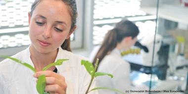 Universität Hohenheim: CHE Ranking 2024: Spitzen-Zeugnis für Biologie und Agrarbiologie