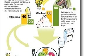 OVID Verband der ölsaatenverarbeitenden Industrie in Deutschland e. V.: Mit Biodiesel auch mehr Nahrungsmittel / Infografik (BILD)