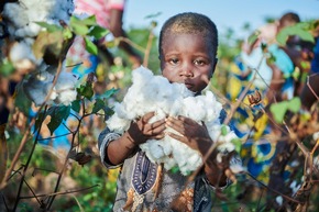 Baumwolle: Schweizer Händler profitieren von Kinderarbeit