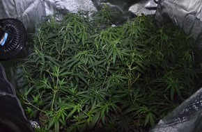 Kreispolizeibehörde Rhein-Kreis Neuss: POL-NE: Polizei stellt mehrere Cannabis-Pflanzen sicher