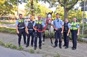 Polizei Mettmann: POL-ME: Tierische Einsätze für die Polizei: Gleich zwei freilaufende Pferde gerettet - Hilden / Erkrath / Langenfeld - 2007112