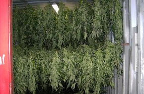 Polizeidirektion Bad Segeberg: POL-SE: Illegaler Anbau von Marihuana - Kripo erntet 9 Kilogramm