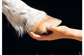 Motor Presse Stuttgart: Einzigartig: Wichtigste Pferde- und Reitsportmagazine schließen sich für Tierwohl-Kampagne zusammen