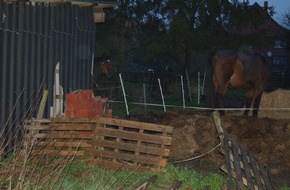 Polizeiinspektion Nienburg / Schaumburg: POL-STH: Gravierende Verstöße gegen das Tierschutzgesetz