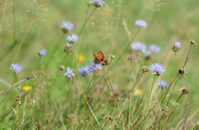 EDEKA ZENTRALE Stiftung & Co. KG: Modellprojekt "Landwirtschaft für Artenvielfalt" feiert 100. Teilnehmerbetrieb