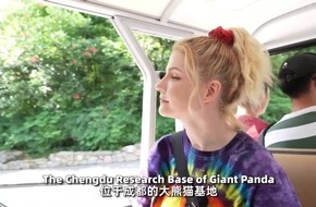 Y China Beitrag: Wie sieht der Lebensraum der Pandas aus? Y China Beitrag: Wie sieht der Lebensraum der Pandas aus?