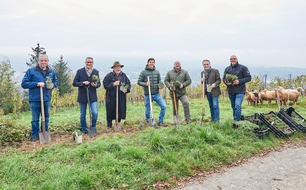 Edeka Südwest: Presse-Information: Kräuter und Schafe für mehr Artenvielfalt im Weinberg