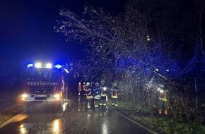 Freiwillige Feuerwehr Reichenau: FW Reichenau: Baum über Fahrbahn, Rau-Lindenbühl, 26.11.2025