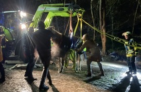 Feuerwehr Bochum: FW-BO: Gest&uuml;rztes Pferd in H&ouml;ntrop: Feuerwehr Bochum leistet Unterst&uuml;tzung