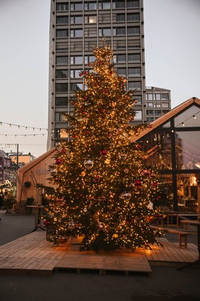 Die Weihnachtsallee 2025 ist eröffnet