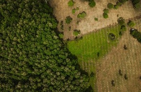 The Generation Forest eG: forsa-Studie im Umfeld der COP 27: Die Mehrheit der Deutschen kennt ihren CO2-Fußabdruck nicht, würde das aber gern