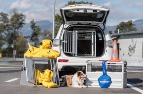Touring Club Schweiz/Suisse/Svizzero - TCS: Grosser TCS Hundeboxentest - Wie sie ihren Vierbeiner am sichersten transportieren