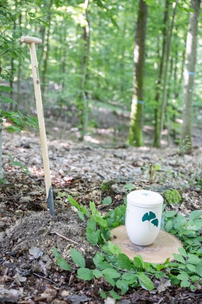 Bestattungswald FriedWald Wiesenbach im Rhein-Neckar-Kreis eröffnet
