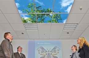 Sky Factory Deutschland OHG: Licht verbessert Produktivität am Arbeitsplatz