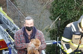 Kreisfeuerwehrverband Pinneberg: FW-PI: Feuerwehr rettet Fuchs von einem Vordach eines Einkaufszentrums