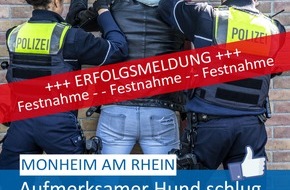 Polizei Mettmann: POL-ME: Hund schlägt an: Polizei fasst mutmaßlichen Autoknacker und Einbrecher - Monheim am Rhein - 2304044
