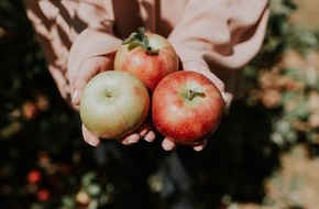 Initiative "Mein Erbe tut Gutes. Das Prinzip Apfelbaum": Tag des Testaments: Der Wunsch wächst, gemeinnützig zu vererben