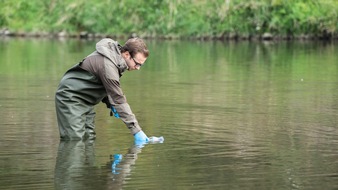 Universit&auml;t Duisburg-Essen: Studie an der Lippe: 1.072 Arten in einem Eimer Wasser
