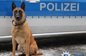 Polizei Hamburg: POL-HH: 210115-2. Polizeihund "Buk" schnappt Graffiti - Sprayer