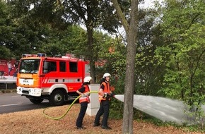 Feuerwehr Bergisch Gladbach: FW-GL: Die Bäume haben Durst: Jetzt leistet auch die Feuerwehr Amtshilfe