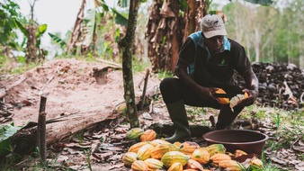 Tony's Chocolonely: Welttag gegen Kinderarbeit: Trotz steigender Kakaopreise arbeiten weiter Millionen von Kindern illegal für unsere Schokolade