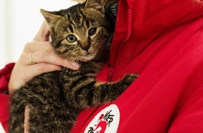 VIER PFOTEN - Stiftung für Tierschutz: VIER PFOTEN spricht an der Fachmesse Terr-Animale über ihre Katzenprojekte