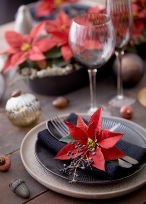 Farbenfroher Blumenschmuck für die Festtafel - Tischdekorationen mit Weihnachtssternen im natürlichen Green Living-Stil