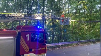 Feuerwehr Sprockhövel: FW-EN: Baum stürzt auf Telefonleitung