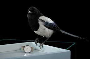 NOMOS Glash&uuml;tte: Rabatt-Aktionen und Diebische Elstern