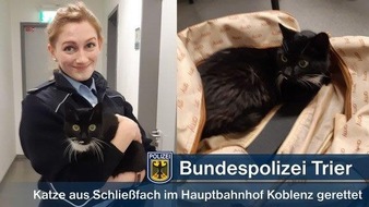 Bundespolizeiinspektion Trier: BPOL-TR: Katze aus Schließfach gerettet