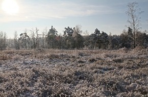 Heinz Sielmann Stiftung: PM Viel los beim Moos: Deshalb ist der Winter f&uuml;r Moore eine besonders wichtige Zeit