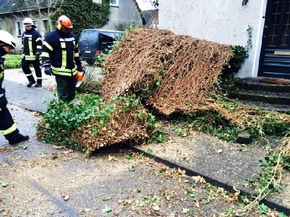 FW-KLE: Bedburg-Hau: Zahlreiche Einsätze durch Sturmtief &quot;Niklas&quot;