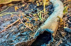 Feuerwehren im Kreis Soest: FW Kreis Soest: Waldbrand am M&ouml;hnesee - Feuer aus / Abschlussmeldung