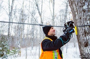 Québec Maple Syrup Producers (QMSP): Kanadas Ahornindustrie boomt - Saisonstart 2022