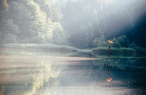 ALPBACHTAL SEENLAND Tourismus: Wasserfest am Berglsteinersee - alles eine Frage der Balance