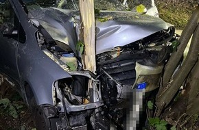 Polizei Hagen: POL-HA: VW-Fahrer weicht Wildschweinen aus und st&ouml;&szlig;t mit Telefonmast und Baum zusammen