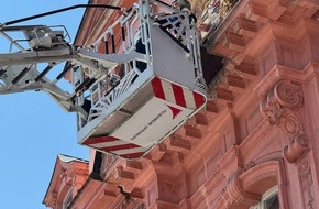 Feuerwehr Offenburg: FW-OG: Tierischer Flugtag bei der Feuerwehr