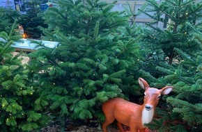 Polizeidirektion Bad Segeberg: POL-SE: Elmshorn - Diebstahl von Zwei Weihnachts- Rehen (Deko)