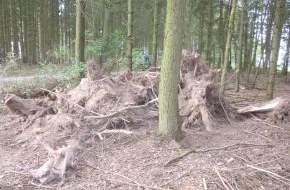 Polizeiinspektion Nienburg / Schaumburg: POL-NI: Illegal Baumstümpfe entsorgt - Polizei hofft auf Zeugenhinweise