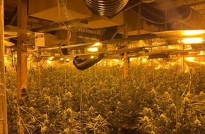 Kreispolizeibehörde Märkischer Kreis: POL-MK: Cannabis-Plantage im ehemaligen Steinbruch - Zwei Festnahmen