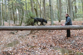 Blindenführhundeschule Allschwil: Neuste Erkenntnisse in der Verhaltensentwicklung von Hunden im Welpenalter