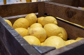 Lemon from Spain: Canada, the largest importer of EU lemon outside of Europe