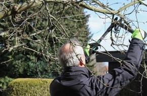 R+V Infocenter: R+V: Baumschnitt nicht als Osterfeuer verbrennen