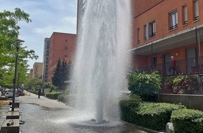 Feuerwehr München: FW-M: Unerwartete Abkühlung (Harthof)