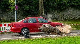 Polizeipräsidium Mittelhessen - Pressestelle Gießen: POL-GI: Aktionstag der Polizei und Jägerschaft auf dem Schiffenberg / Wildsau-Crash-Test beeindruckt Besucher