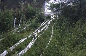 Feuerwehr Dortmund: FW-DO: Ungewöhnlicher Einsatz für die Feuerwehr //
Biotop mit Sumpfpflanzen im Rombergpark durch niedrigen Wasserstand bedroht