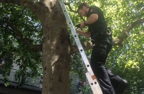 Polizeidirektion Hannover: POL-H: Mitte: Polizisten als Tierretter unterwegs