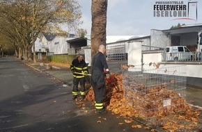 Feuerwehr Iserlohn: FW-MK: "Halloween"