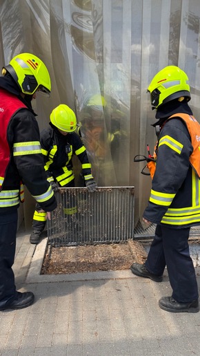 Feuerwehr MTK: Drei Einsätze an einem Tag: Gebäudebrand, Tierrettung und Aufzugsrettung